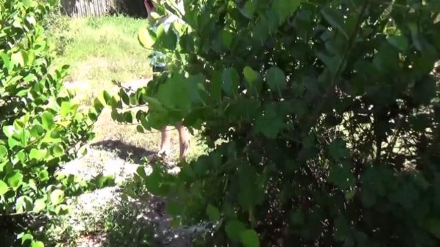 Обнажив грудь, милая сестра на коленях делает брату минет и дает в киску